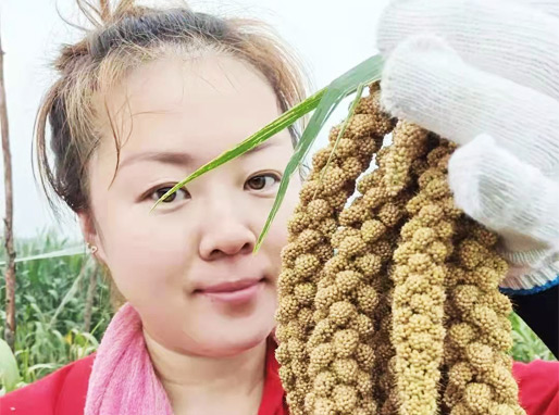 巾帼最美微笑之星——杨浩楠